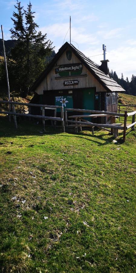 Kiara 7 Appartement Jesenice Buitenkant foto