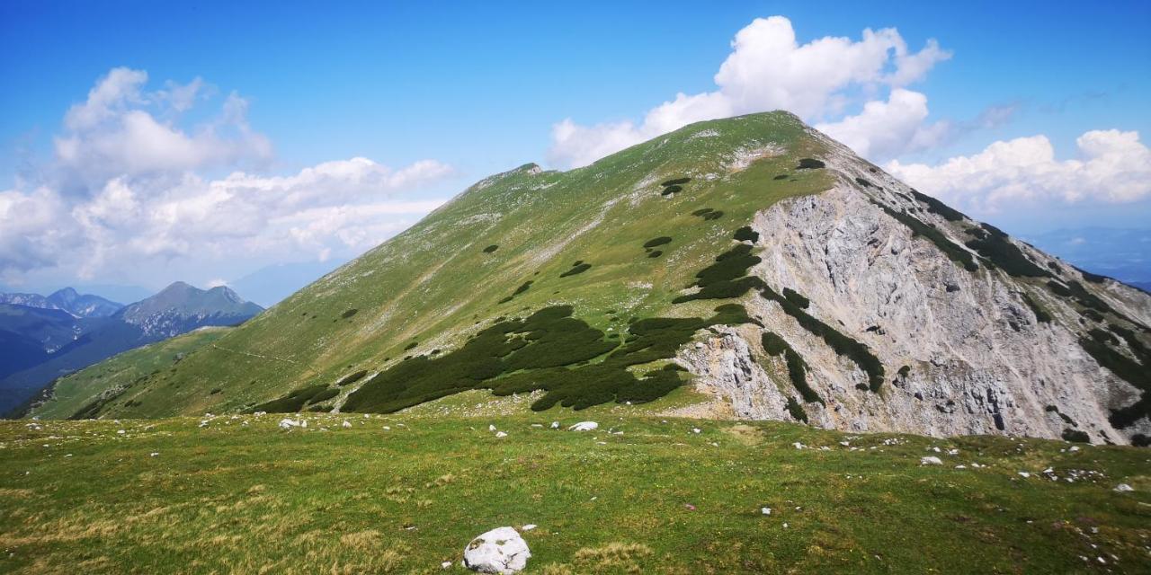 Kiara 7 Appartement Jesenice Buitenkant foto